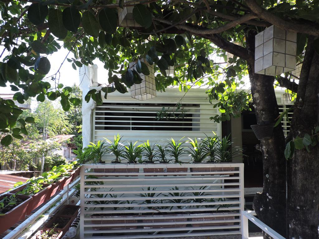 Orange Mangrove Pension House By Sms Hospitality Puerto Princesa Exterior foto
